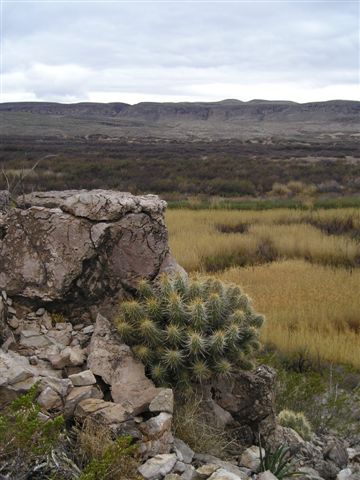 "Giant" country in Big Bend National Park